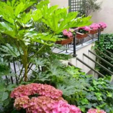 Baume Paris